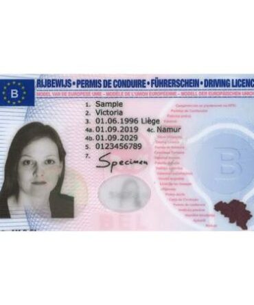 Belgian Driver's License