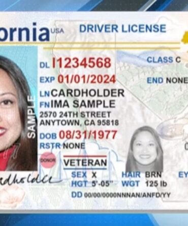 California Driver's License