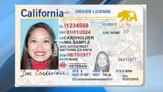 California Driver's License