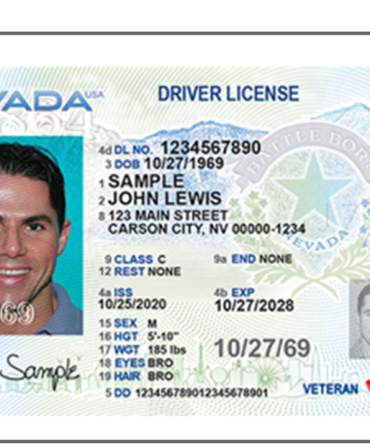 Las Vegas Driver's License