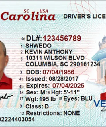 Driver's License