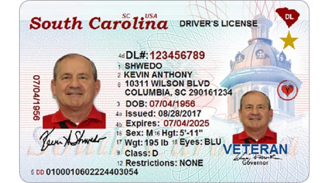 South Carolina Driver's License