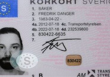 Swedish Driver's License